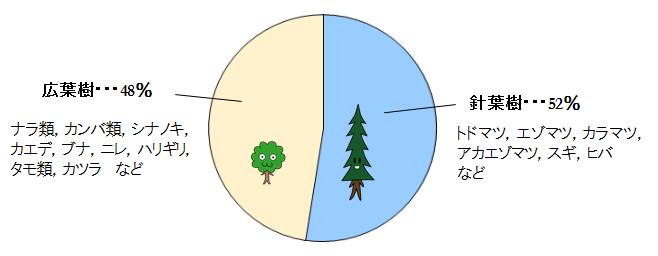 広葉樹48%(ナラ類、カンバ類、シナノキ、カエデ、ブナ、ニレ、ハリギリ、タモ類、カツラなど) 針葉樹52%(トドマツ、エゾマツ、カラマツ、アカエゾマツ、スギ、ヒバなど)