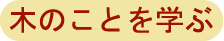 木のことを学ぶ