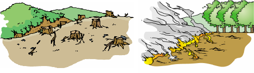 イラスト:森林のばっさい,焼きはらい