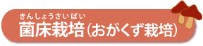 菌床栽培(木粉栽培)