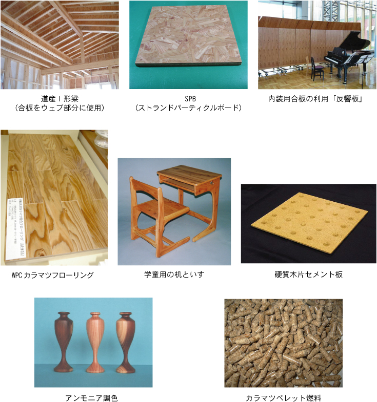 上段左から:道産I形梁(合板をウェブ部分に使用),SPB(ストランドパーティクルボード),内装用合板の利用「反響板」中段左から:WPC カラマツフローリング,学童用の机といす,硬質木片セメント板下段左から:アンモニア調色,カラマツペレット燃料