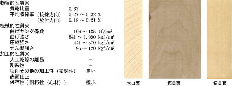 各種性質、三断面