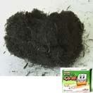 成果の写真11 成果の写真11