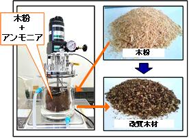 木材改質の工程 木材改質の工程
