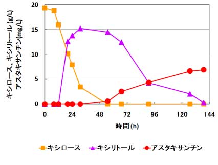 二段階培養によるアスタキサンチン生産 二段階培養によるアスタキサンチン生産