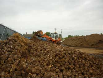 シイタケ廃培地 シイタケ廃培地