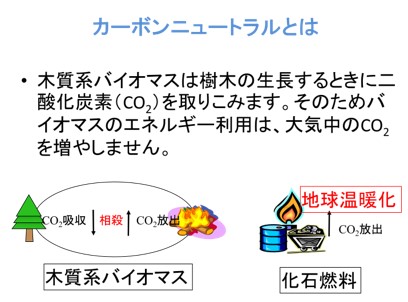 カーボンニュートラルの説明
