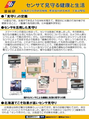講演資料 講演資料のPDF