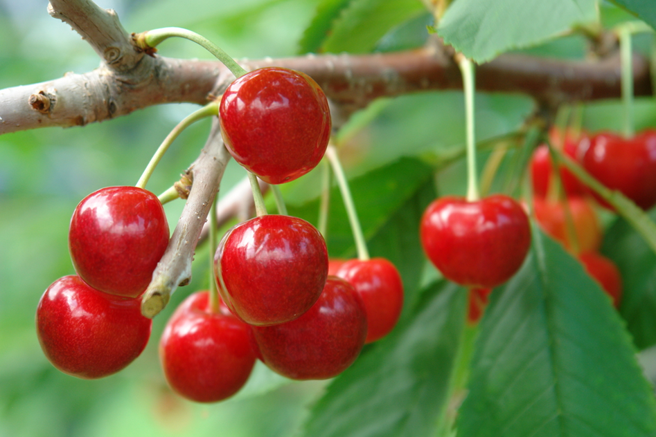 external_image external_image