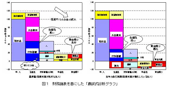 農試式診断グラフの例