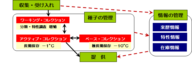 保存管理の流れ 保存管理の流れを図で説明