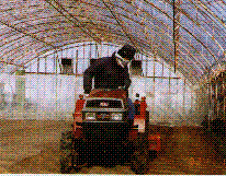 小型トラクタ-によるハウス内整地作業