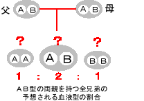 メンデリアンサンプリングの説明