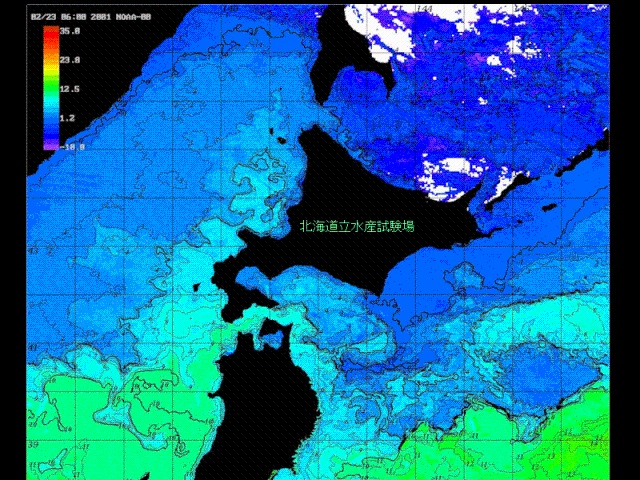 2001年2月のNOAA画像