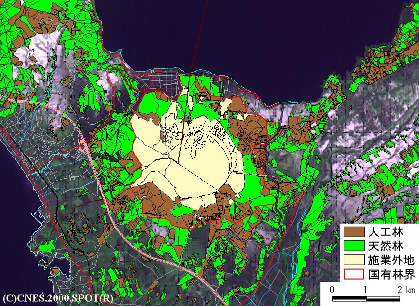 画像1の1 森林の人工林・天然林区分