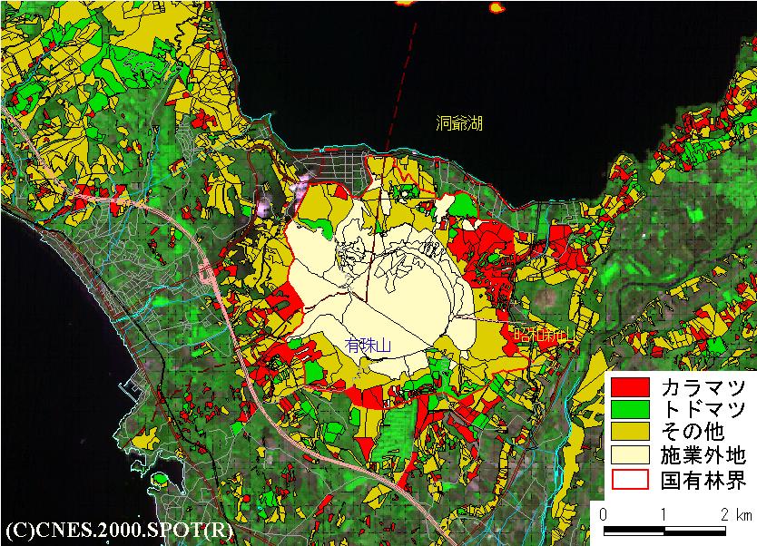 画像1の2 森林の樹種別区分