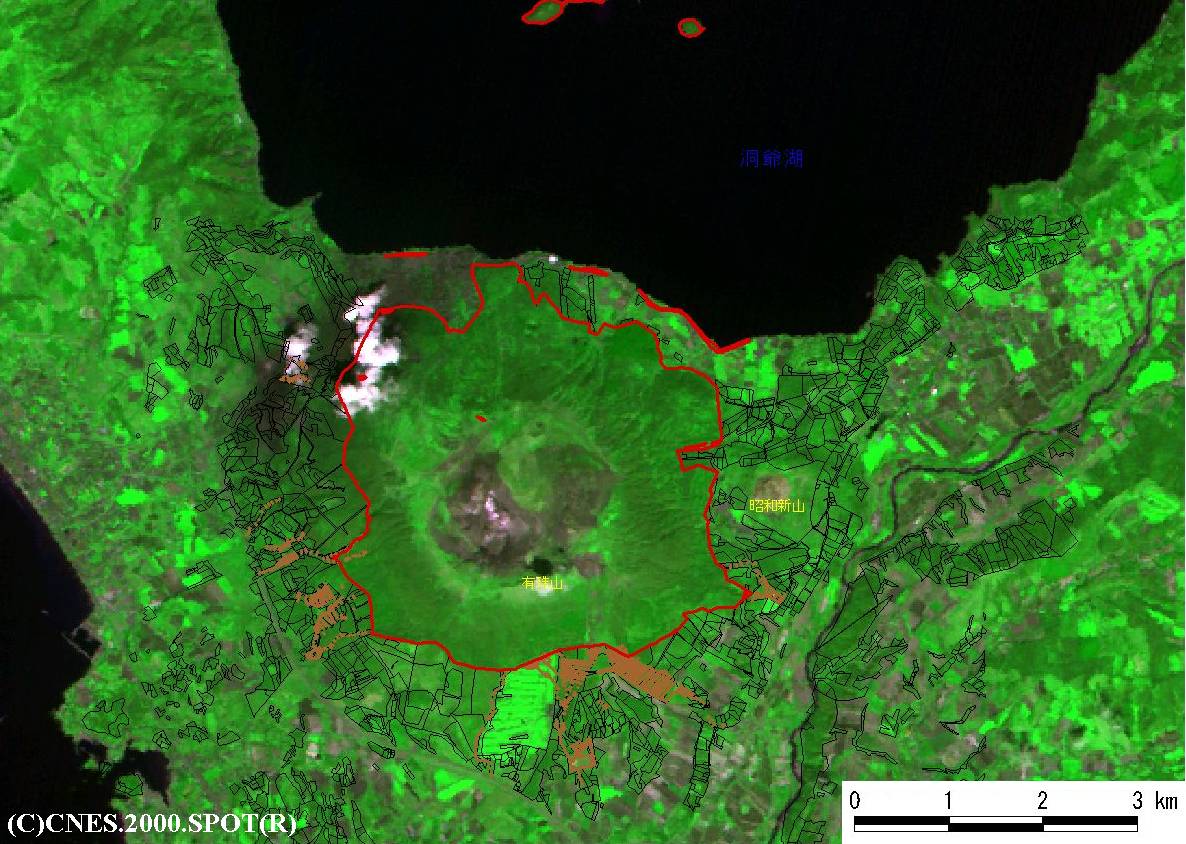 画像3の1a 森林の被害区分推定図