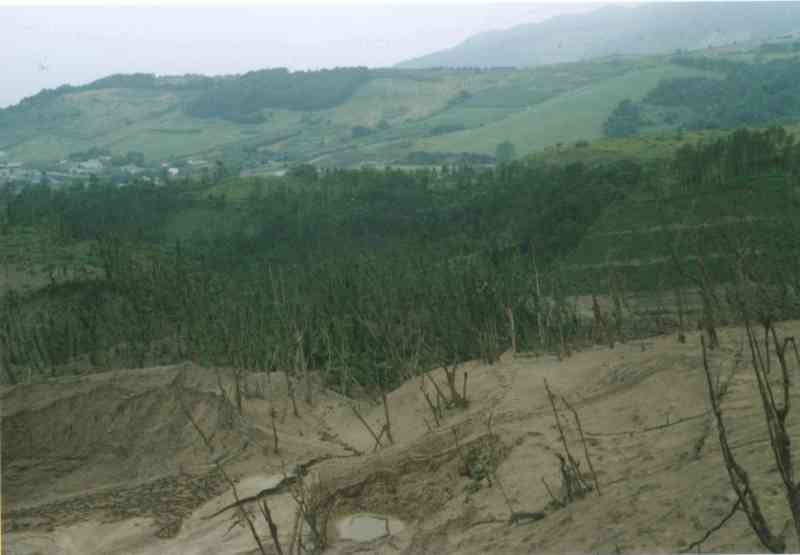 火口群内の激害林分その３