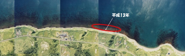 石狩地区ニシン産卵床2(石狩市厚田区青島)
