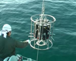 多筒採水器 多筒採水器