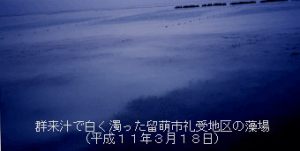 留萌市礼受地区の藻場