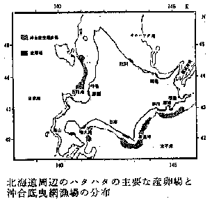 標識放流から再捕まで