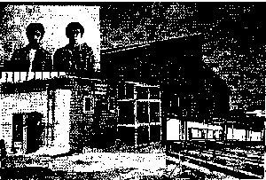 浜ウオッチング