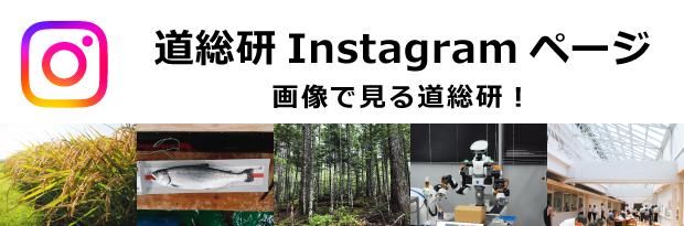 Instagram　バナー