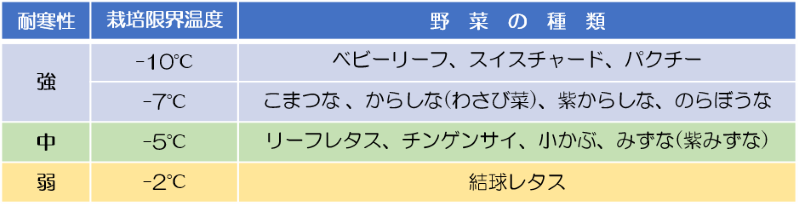 各種野菜の耐寒性の違い