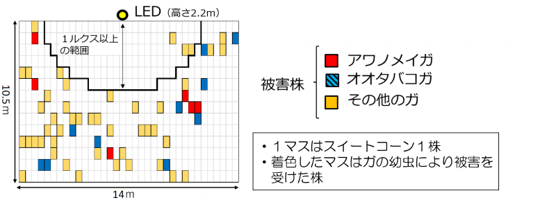 図２