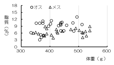 図1　ホッケ体重別の脂質含量（7月）