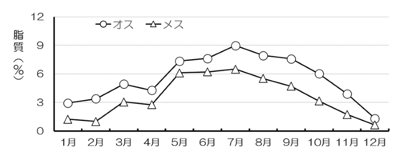 図2　ホッケ脂質含量の月別変化（2020年）