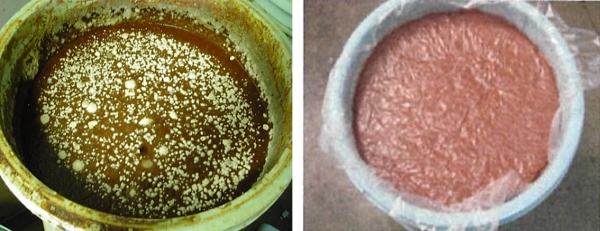 図5　ビニールシートを使った野生酵母の抑制