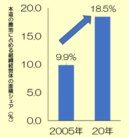 図３　組織経営体の面積シェアの推移