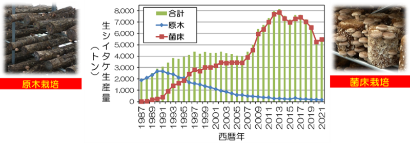 図2　北海道における生しいたけ生産量の推移　※北海道特用林産統計より作成