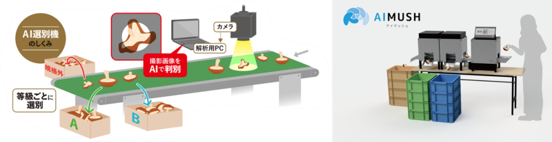 図4　シイタケ等級判別装置試作機AIMUSH（アイマッシュ）のしくみ