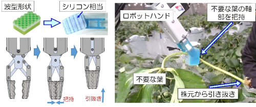 図５　開発したロボットハンド