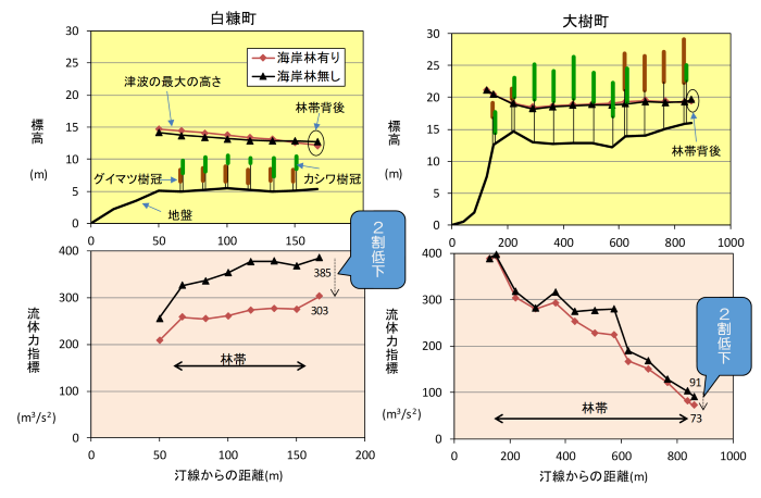 図１　海岸防災林付近での津波の最大高さ（上段）および最大の流体力指標（下段）