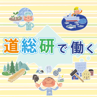 道総研で働く
