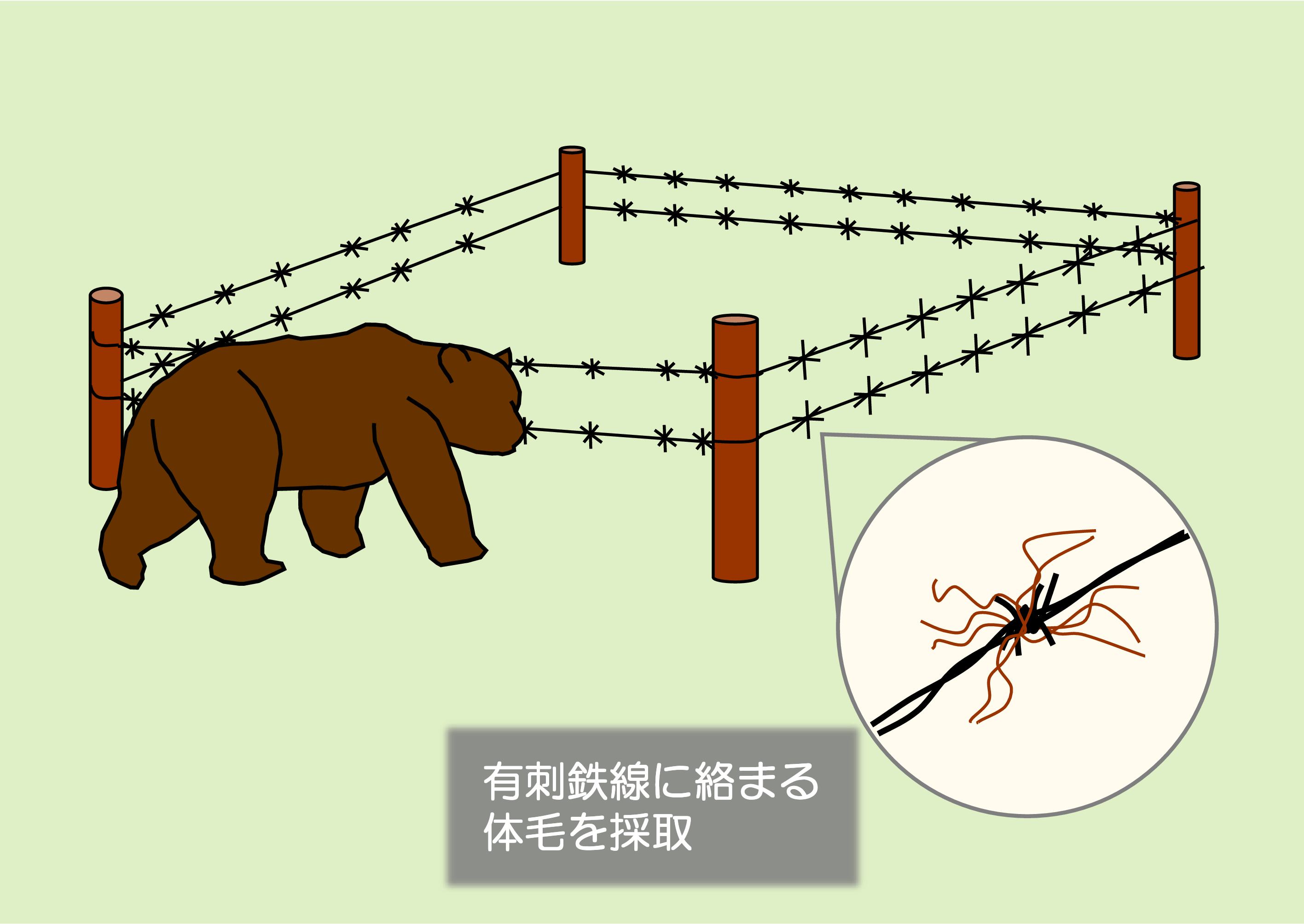 図１ ヘア・トラップの構造