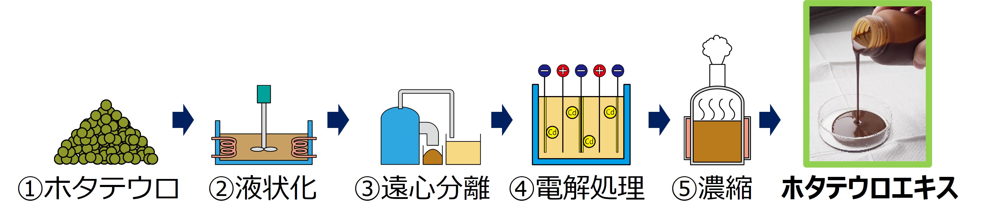 図７　ホタテウロエキスの製造フロー試作したウロエキスで飼育試験を行ったところ、ハマチ、マダイ、クロソイ、マツカワなどの魚種では、エサに１～２％添加するだけで、食べ具合だけでなく、魚の成長も良くなり、魚を早く育てることができました。