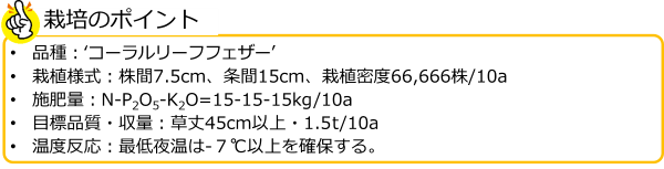 紫からしな_要点