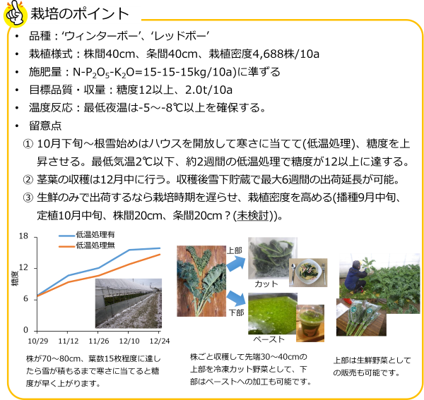 ボーレコール_要点
