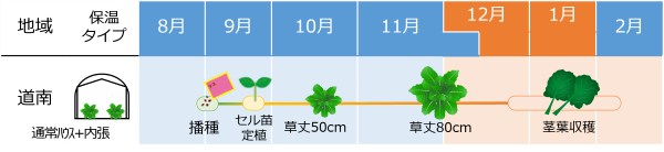 ボーレコール_作型