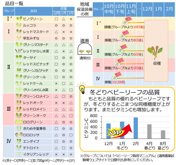 ベビーリーフ_品目一覧
