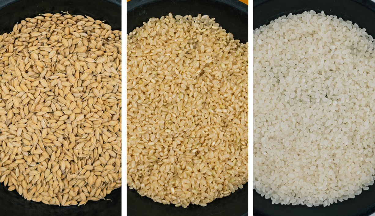 籾・玄米・白米