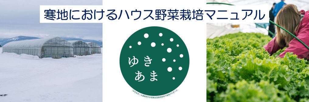 寒地ハウス野菜