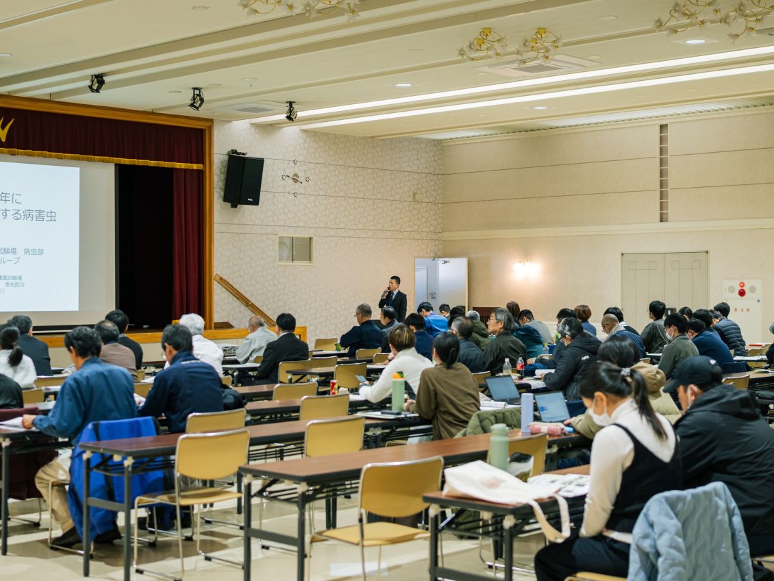 注意する病害虫