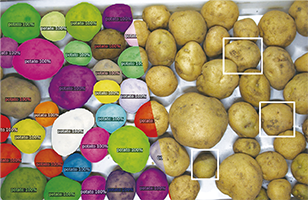 情報システムグループ