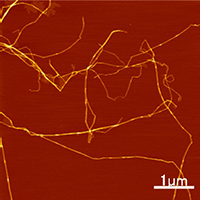 微生物由来ナノ繊維強化プラスチックのリサイクル特性